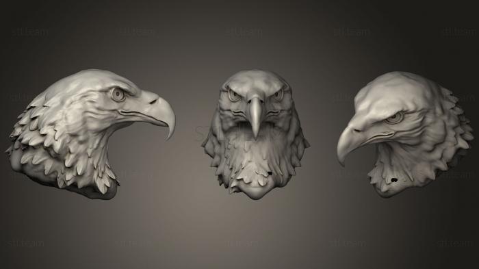 3D модель Голова белоголового орлана (STL)